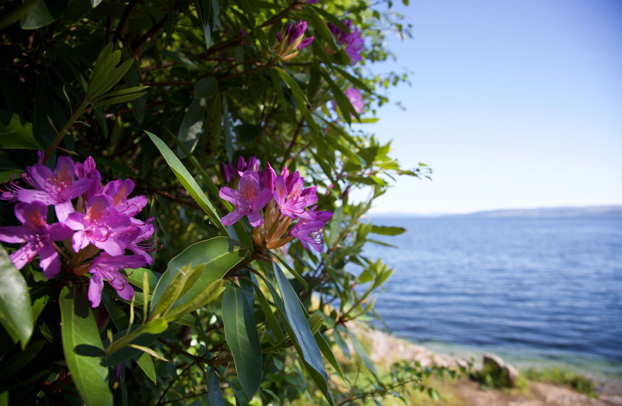 Stonefield Castle Hotel Εξωτερικό φωτογραφία